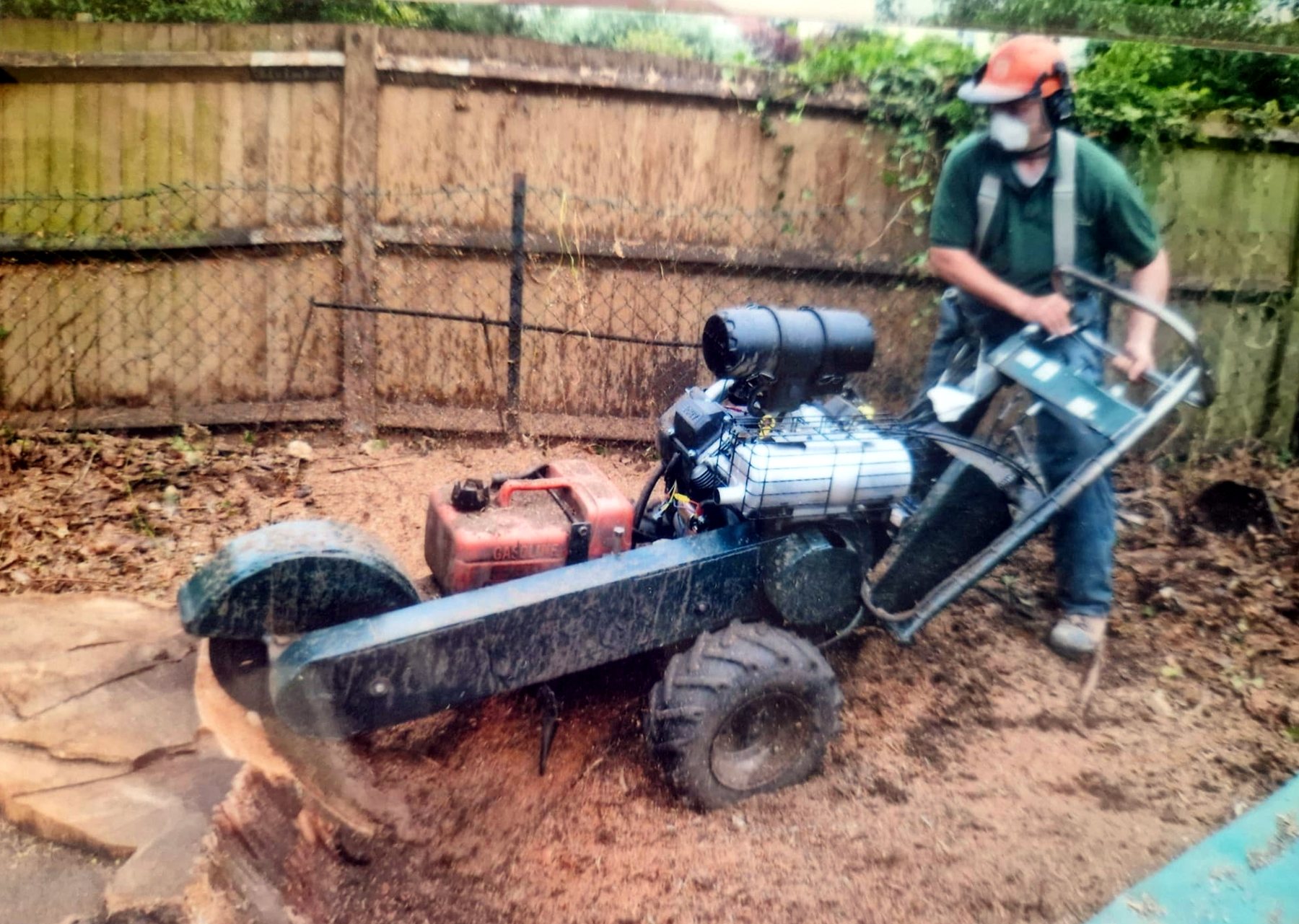Part way through: the small grinder cutting the stump down beside the fence