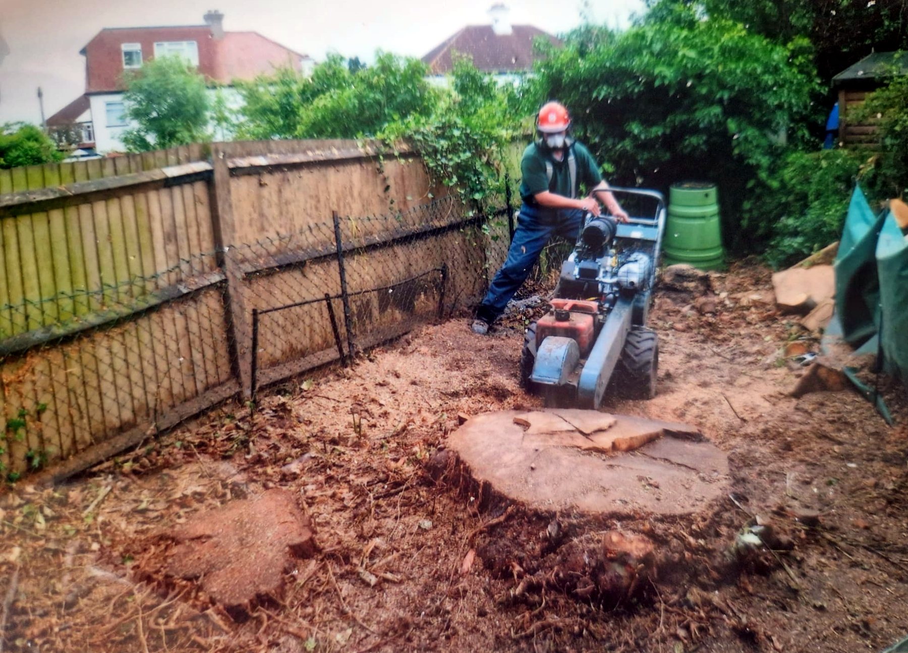 Start of the job: a wide tree stump beside a garden fence with the small grinder lined up