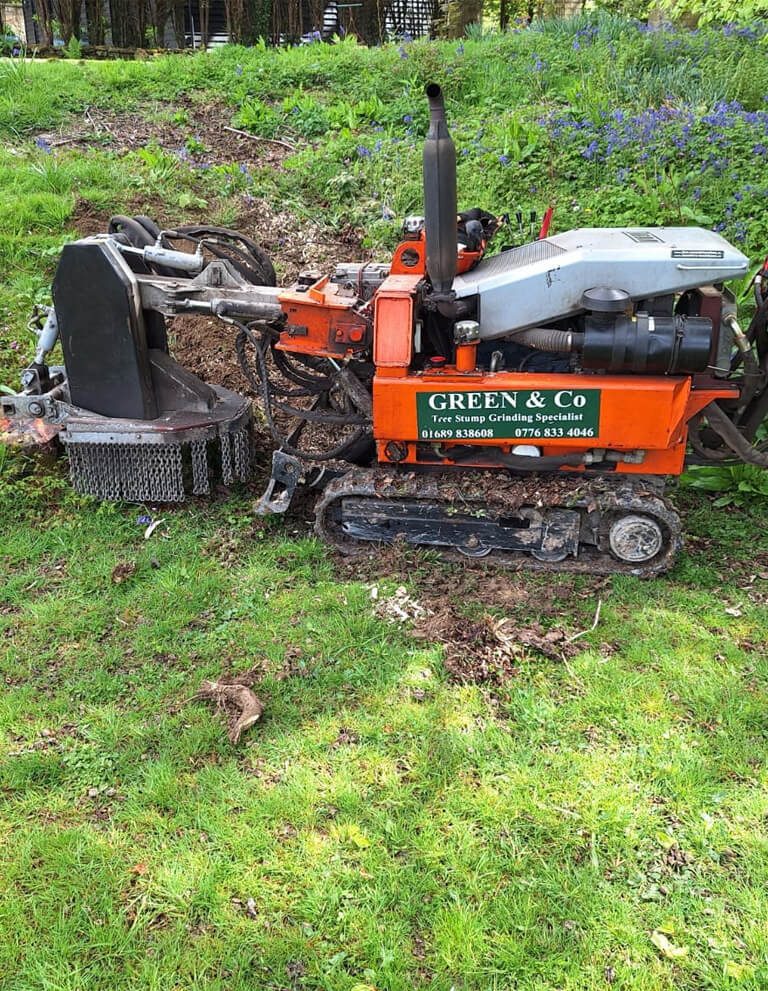 The Green & Co tracked stump grinder on grass among bluebells