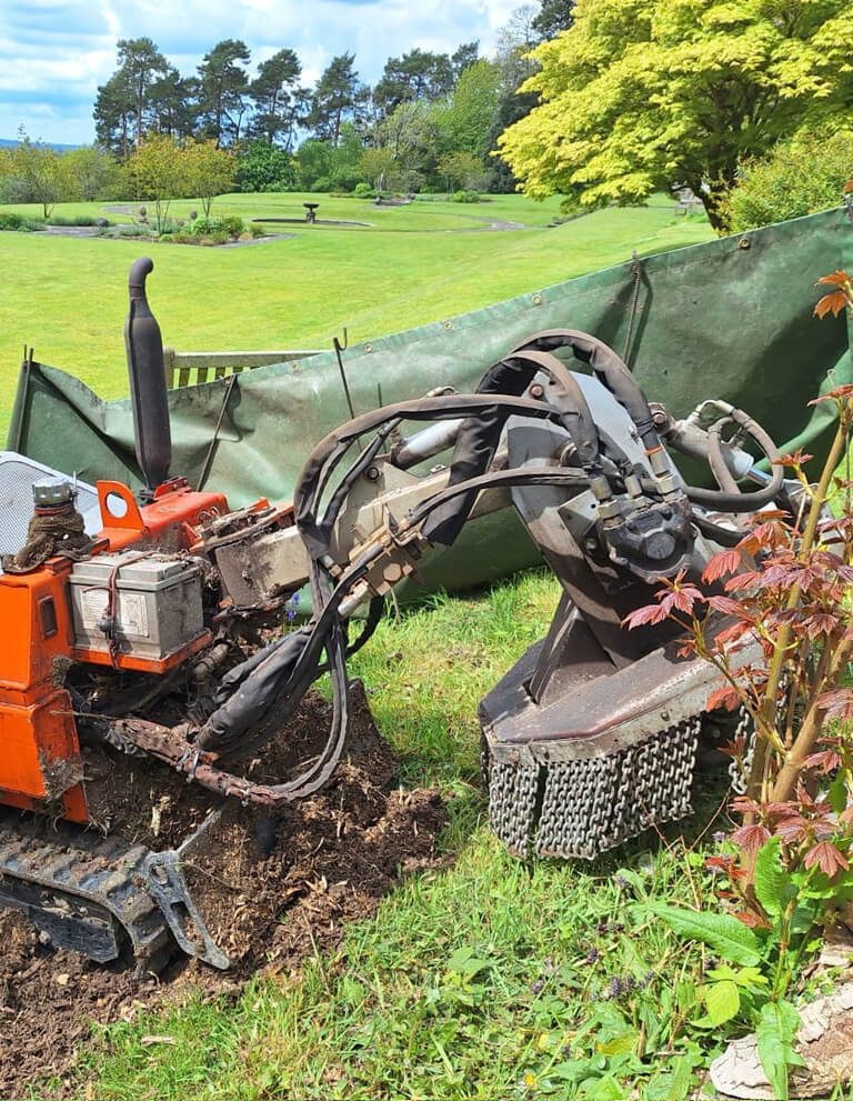 Grinding out roots in a landscaped garden with screens protecting the planting