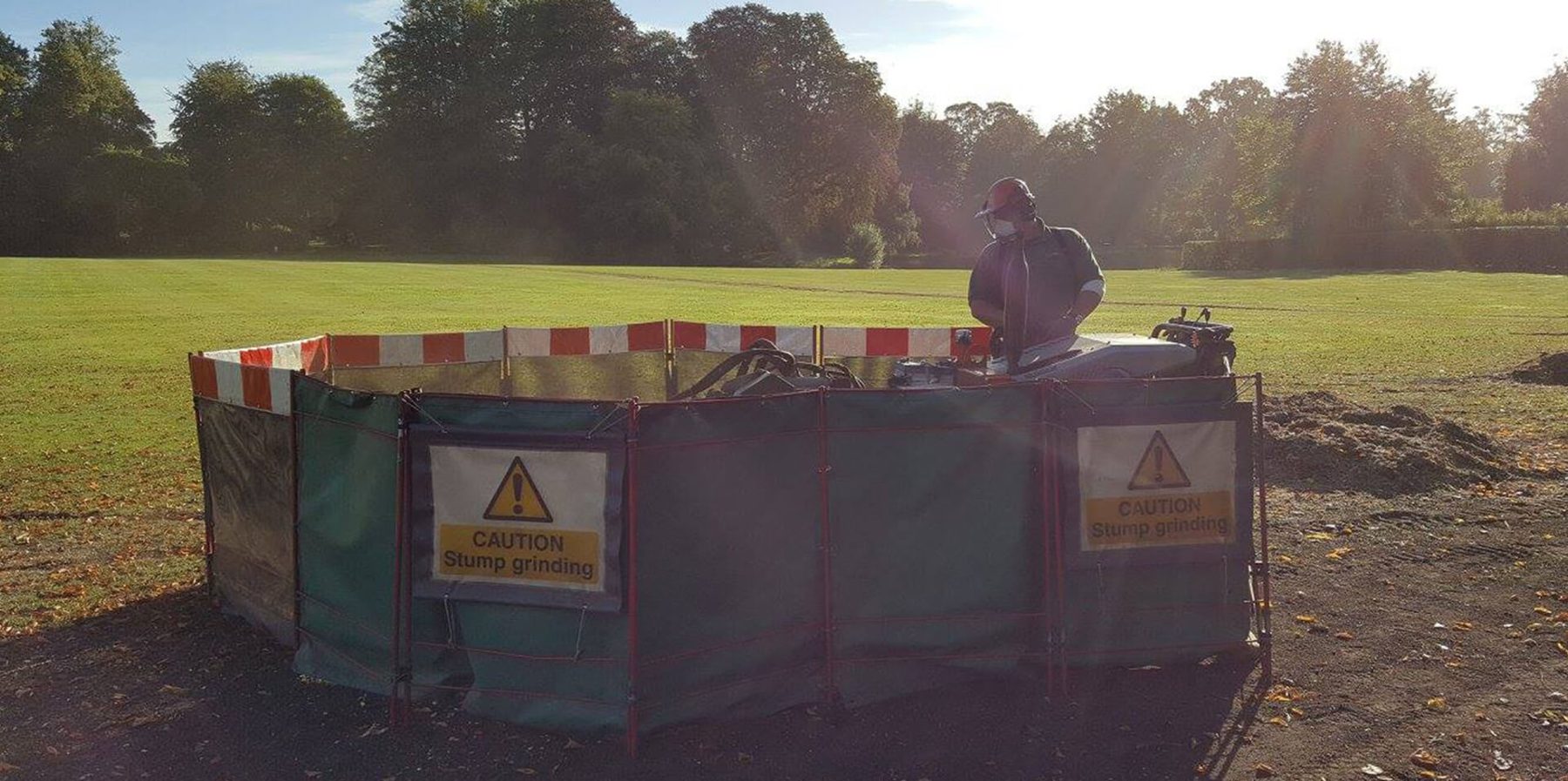 Stump grinding inside a ring of safety screens on open parkland