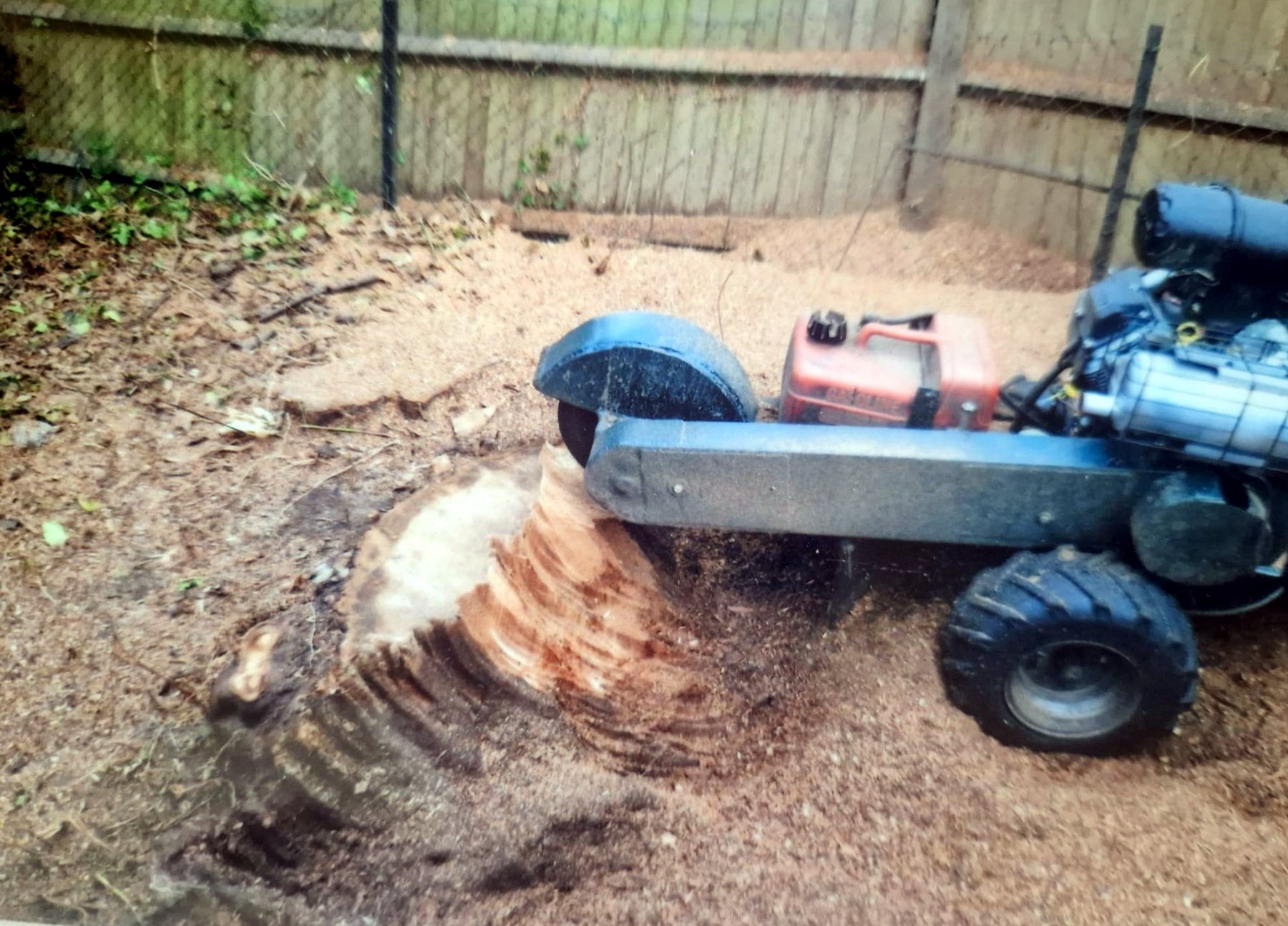 The small stump grinder's cutting wheel working through a garden tree stump
