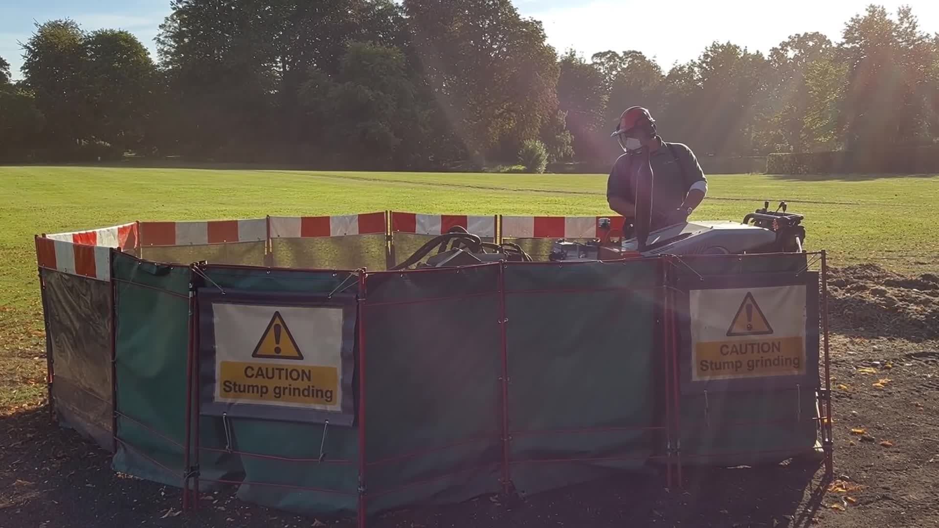 Phil grinding a stump inside caution screens on sunlit parkland